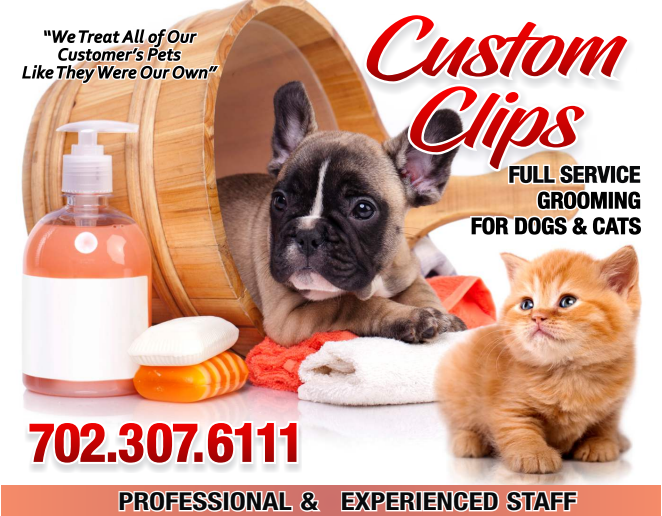Dog Grooming & Cat Grooming Services
